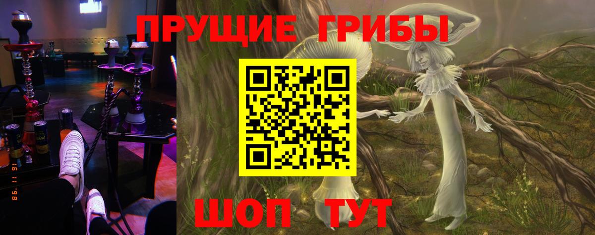 Лесной  Галлюциногенные грибы мухоморы  Галлюциногенные грибы GOLDEN TEACHER  продажа наркотиков  Вход с VPN 