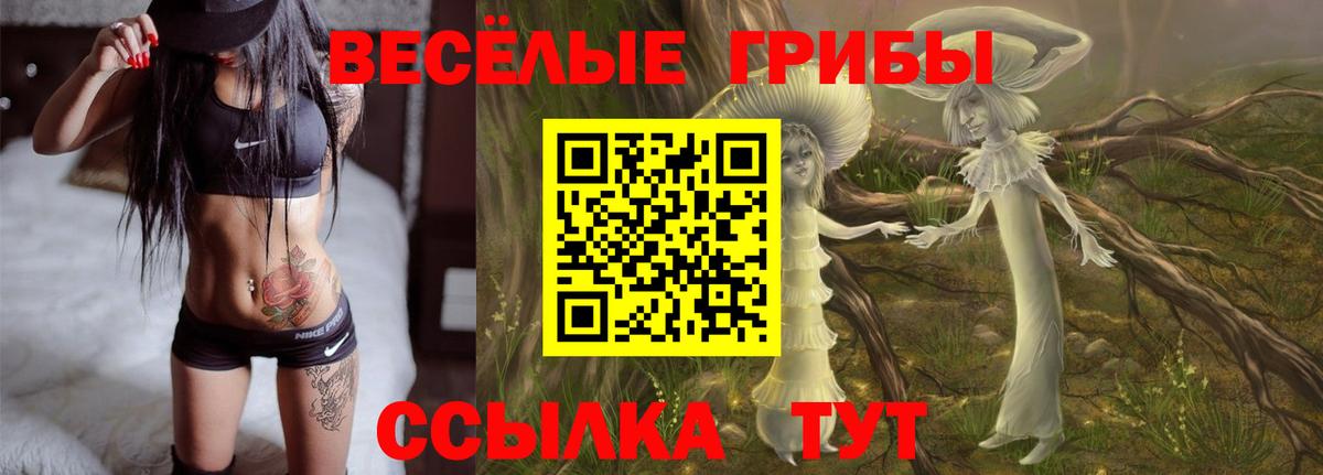 Галлюциногенные грибы мицелий Лесной