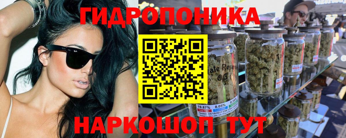 Каннабис Amnesia  Шишки марихуана OG Kush  Вход с VPN  Бошки марихуана тримм  Лесной 
